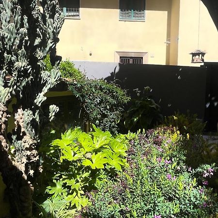 Loquat House Nel Giardino Segreto In Zona Vaticano ローマ エクステリア 写真