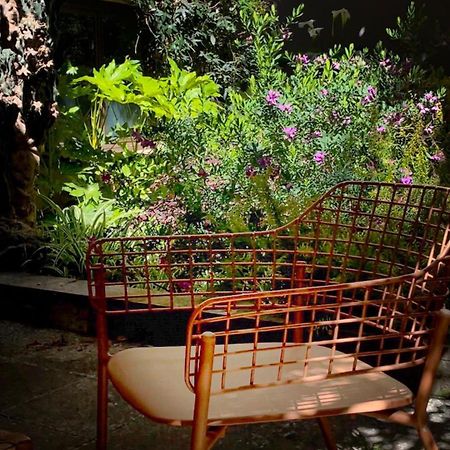 Loquat House Nel Giardino Segreto In Zona Vaticano ローマ エクステリア 写真