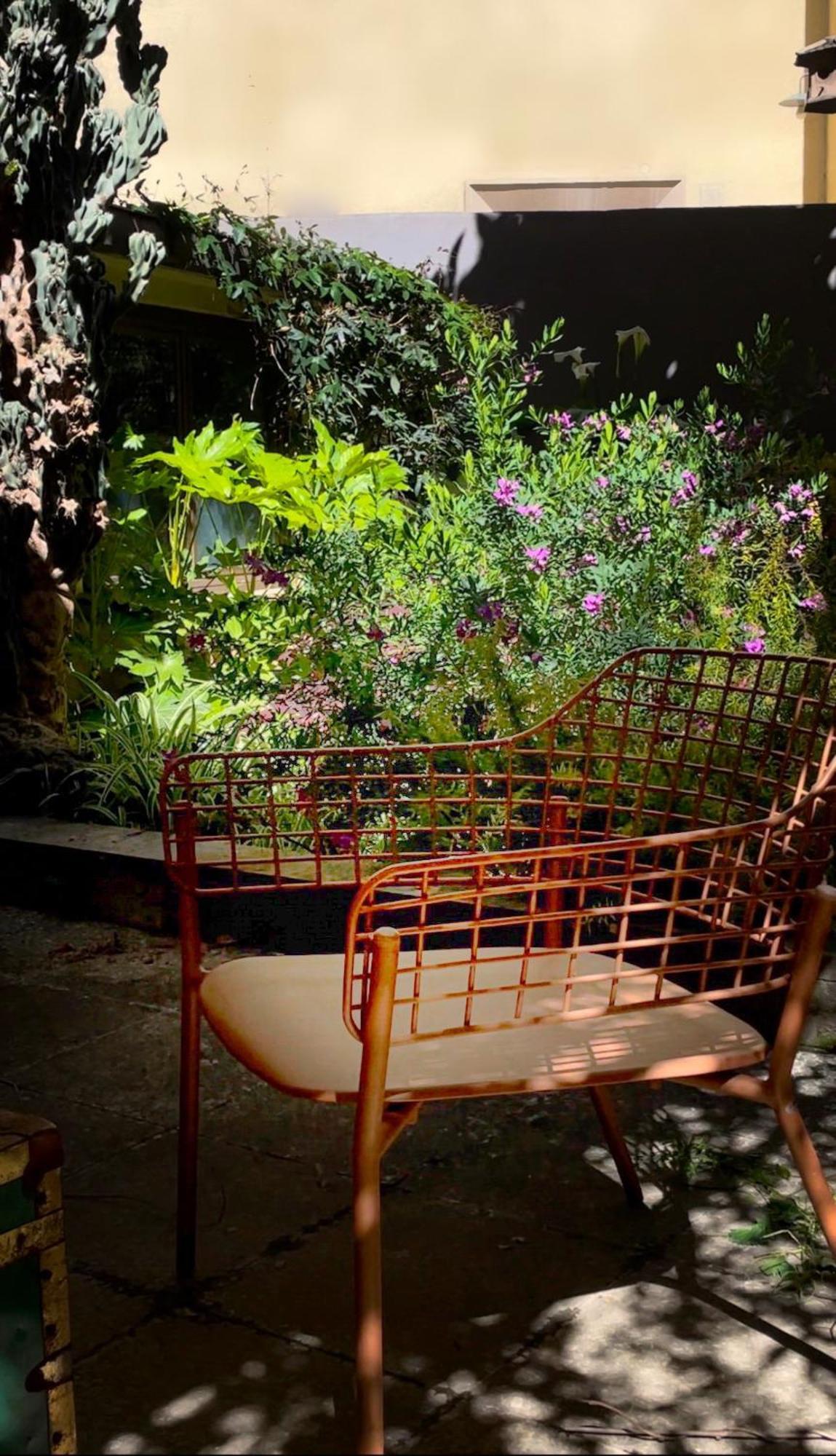 Loquat House Nel Giardino Segreto In Zona Vaticano ローマ エクステリア 写真
